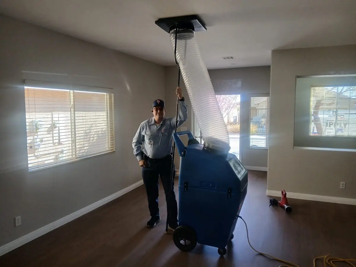 Professional Dryer Vent Cleaning work inside a Hastings-on-Hudson home